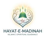 Hayat E Madina